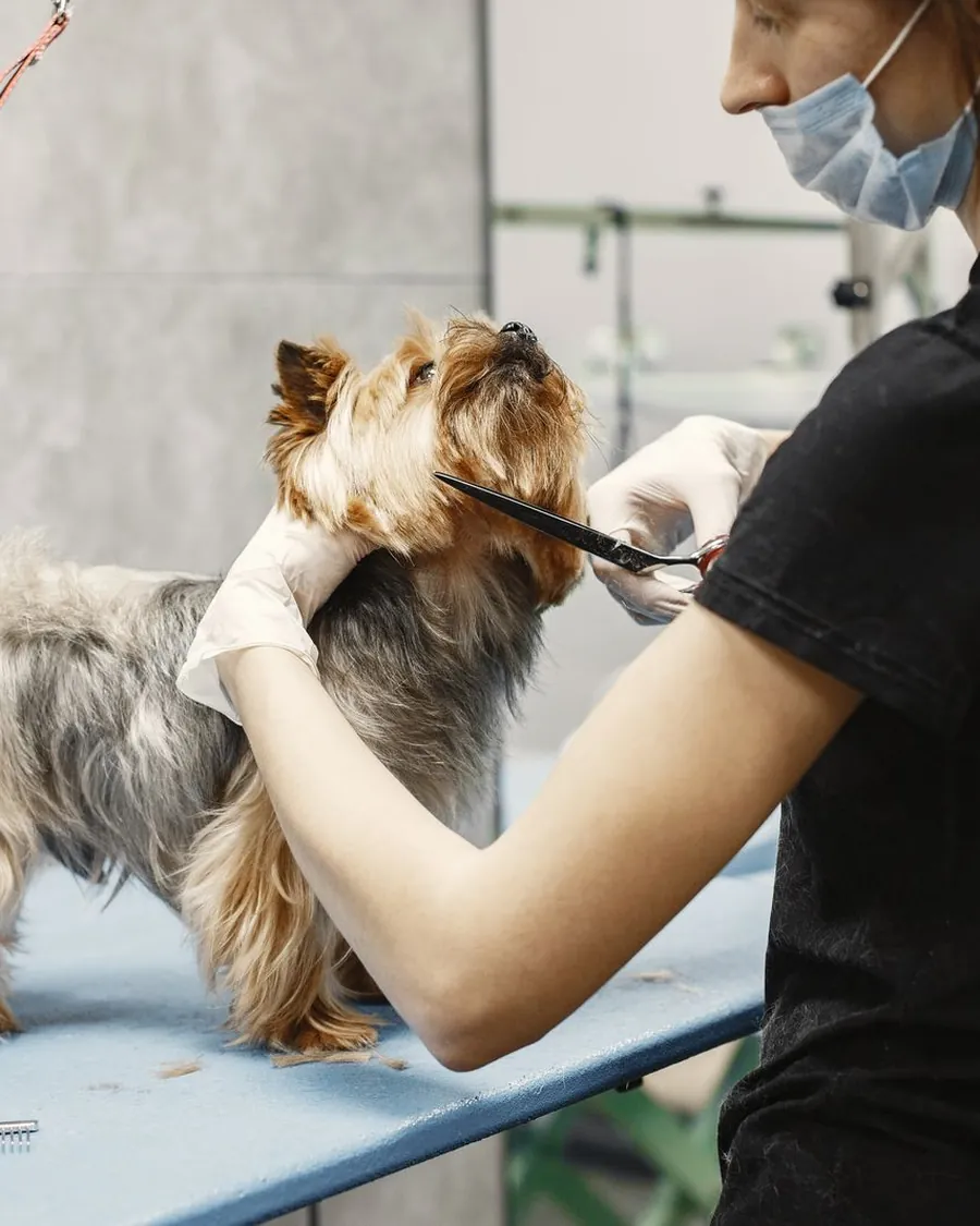 Portrait de la fondatrice avec un chien